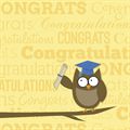 Picture of Graduation Owl - Personalized