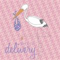 Picture of Baby Stork Pink - Personalized